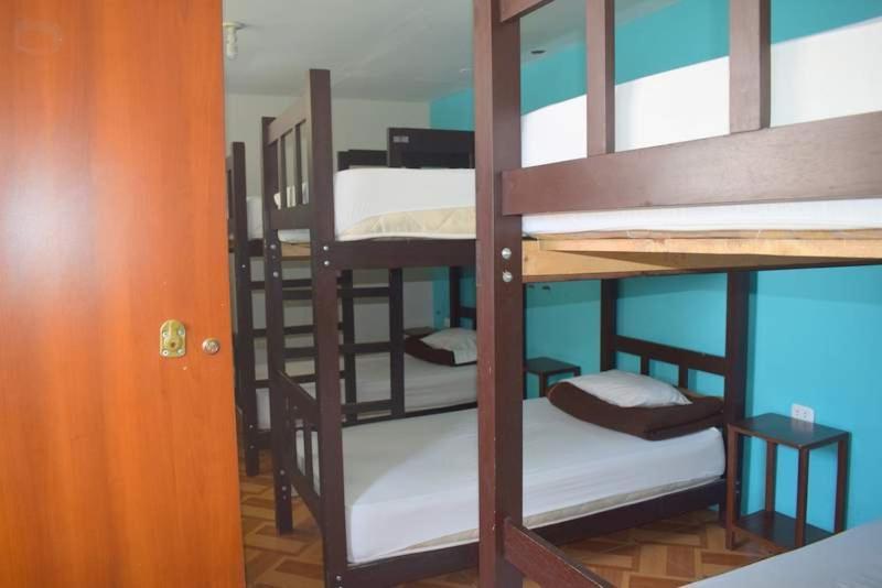 Mango Hostel B&B Αρεκίπα Εξωτερικό φωτογραφία