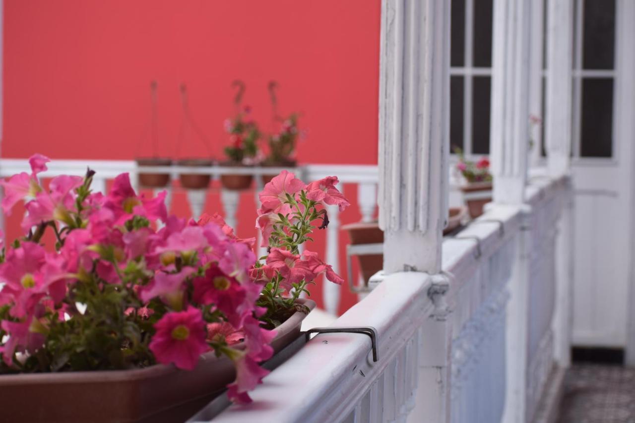 Mango Hostel B&B Αρεκίπα Εξωτερικό φωτογραφία